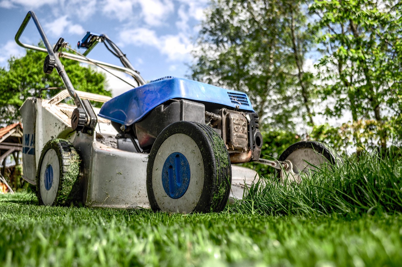 Lawn Maintenance
